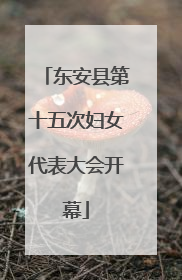 东安县第十五次妇女代表大会开幕